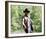 True Grit-null-Framed Photo