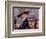 True Grit-null-Framed Photo