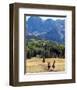 True Grit-null-Framed Photo