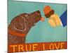 True Love Choc-Stephen Huneck-Mounted Giclee Print