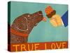 True Love Choc-Stephen Huneck-Stretched Canvas