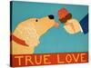 True Love Light Golden-Stephen Huneck-Stretched Canvas