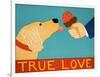 True Love Light Golden-Stephen Huneck-Framed Giclee Print