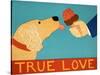 True Love Light Golden-Stephen Huneck-Stretched Canvas