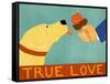 True Love Yellow-Stephen Huneck-Framed Stretched Canvas