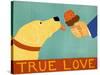 True Love Yellow-Stephen Huneck-Stretched Canvas