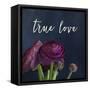 True Love-Susannah Tucker-Framed Stretched Canvas