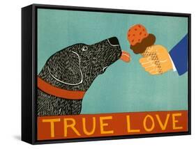 True Love-Stephen Huneck-Framed Stretched Canvas