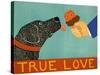 True Love-Stephen Huneck-Stretched Canvas