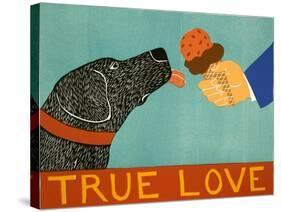 True Love-Stephen Huneck-Stretched Canvas