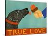 True Love-Stephen Huneck-Stretched Canvas