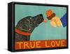 True Love-Stephen Huneck-Framed Stretched Canvas