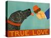 True Love-Stephen Huneck-Stretched Canvas