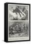 True Tales of a Famous Fighting Race-William T. Maud-Framed Stretched Canvas