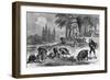 Truffle-Gathering in France-null-Framed Giclee Print