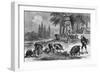 Truffle-Gathering in France-null-Framed Giclee Print