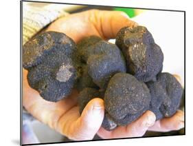 Truffle Hunter with Handful of Truffles at La Truffe De Ventoux Truffle Farm, Vaucluse, Rhone-Per Karlsson-Mounted Photographic Print