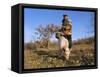 Truffle Producer with Pig Searching for Truffles in January, Quercy Region, France-Adam Tall-Framed Stretched Canvas