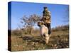 Truffle Producer with Pig Searching for Truffles in January, Quercy Region, France-Adam Tall-Stretched Canvas