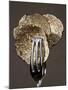 Truffle Slices in Tongs-Marc O^ Finley-Mounted Photographic Print