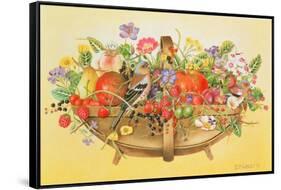 Trug with Fruit, Flowers and Chaffinches, 1991-E.B. Watts-Framed Stretched Canvas