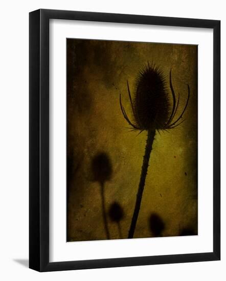 Trugen-Tim Kahane-Framed Photographic Print