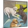 Truitt's Dogs-Marsha Hammel-Mounted Giclee Print