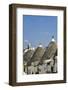 Trulli, Alberobello, UNESCO World Heritage Site, Apulia, Italy, Europe-Marco Brivio-Framed Photographic Print