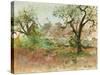 Trulli and Olive Tree (Watercolour and Gouache)-Ann Oram-Stretched Canvas