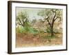 Trulli and Olive Tree (Watercolour and Gouache)-Ann Oram-Framed Giclee Print