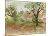 Trulli and Olive Tree (Watercolour and Gouache)-Ann Oram-Mounted Giclee Print