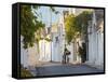 Trulli Houses, Alberobello, Apulia, Puglia, Italy-Peter Adams-Framed Stretched Canvas