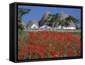 Trulli houses with red poppy field in foreground, near Alberobello, Apulia, Italy, Europe-Stuart Black-Framed Stretched Canvas