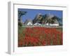 Trulli houses with red poppy field in foreground, near Alberobello, Apulia, Italy, Europe-Stuart Black-Framed Photographic Print