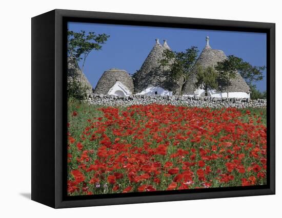 Trulli houses with red poppy field in foreground, near Alberobello, Apulia, Italy, Europe-Stuart Black-Framed Stretched Canvas