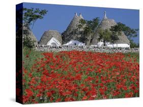 Trulli houses with red poppy field in foreground, near Alberobello, Apulia, Italy, Europe-Stuart Black-Stretched Canvas