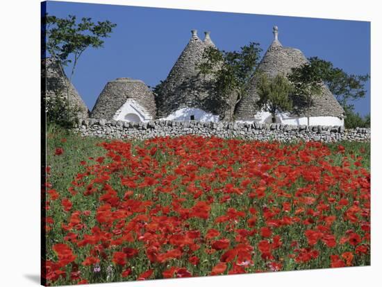 Trulli houses with red poppy field in foreground, near Alberobello, Apulia, Italy, Europe-Stuart Black-Stretched Canvas