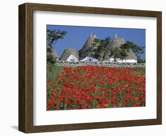 Trulli houses with red poppy field in foreground, near Alberobello, Apulia, Italy, Europe-Stuart Black-Framed Photographic Print