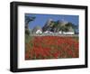Trulli houses with red poppy field in foreground, near Alberobello, Apulia, Italy, Europe-Stuart Black-Framed Photographic Print