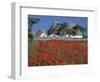 Trulli houses with red poppy field in foreground, near Alberobello, Apulia, Italy, Europe-Stuart Black-Framed Photographic Print