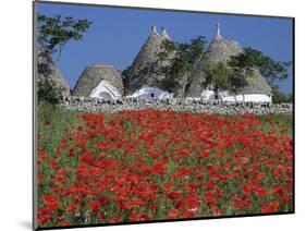 Trulli houses with red poppy field in foreground, near Alberobello, Apulia, Italy, Europe-Stuart Black-Mounted Photographic Print