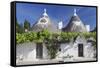 Trulli, traditional houses, Rione Monti area, Alberobello, UNESCO World Heritage Site, Valle d'Itri-Markus Lange-Framed Stretched Canvas