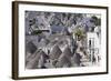 Trulli, Traditional Houses, Rione Monti Area, Alberobello, UNESCO World Heritage Site-Markus Lange-Framed Photographic Print