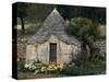 Trullo Near Locorotondo, Puglia, Italy-Michael Newton-Stretched Canvas