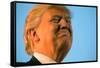 Trump Torture-Andrew Harnik-Framed Stretched Canvas