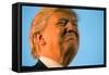 Trump Torture-Andrew Harnik-Framed Stretched Canvas