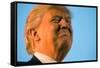 Trump Torture-Andrew Harnik-Framed Stretched Canvas