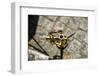 Trumpet from above-Christine Meder stage-art.de-Framed Photographic Print