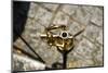 Trumpet from above-Christine Meder stage-art.de-Mounted Photographic Print