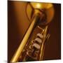 Trumpet I-Steve Cole-Mounted Art Print